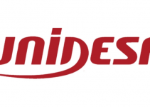 unidesa